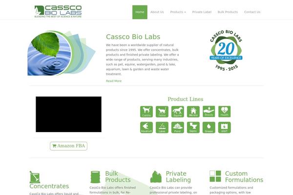 Dazzling theme site design template sample