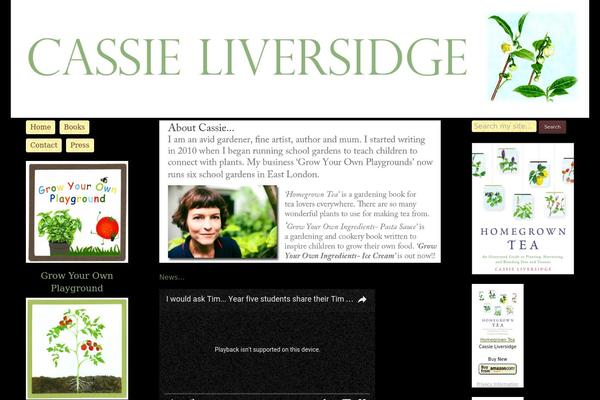 Cl theme site design template sample