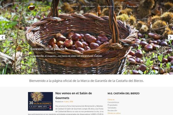 Vangard theme site design template sample