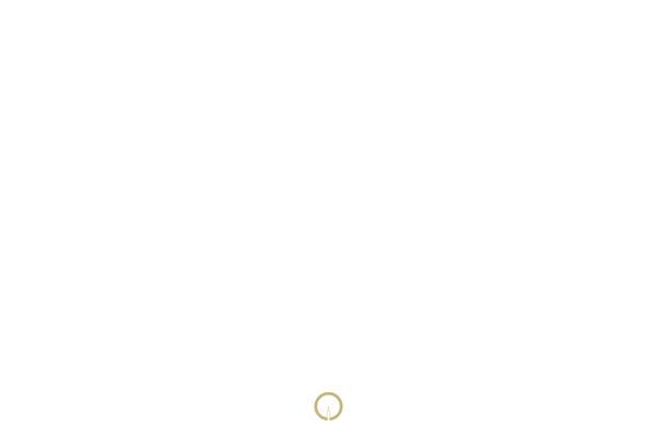 Salient theme site design template sample