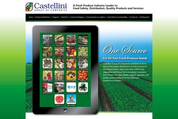 castellini theme websites examples