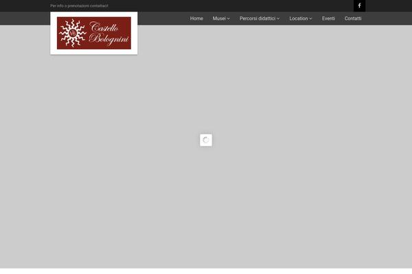 Site using Code Embed plugin