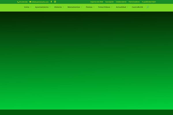 Site using Foo Gallery plugin