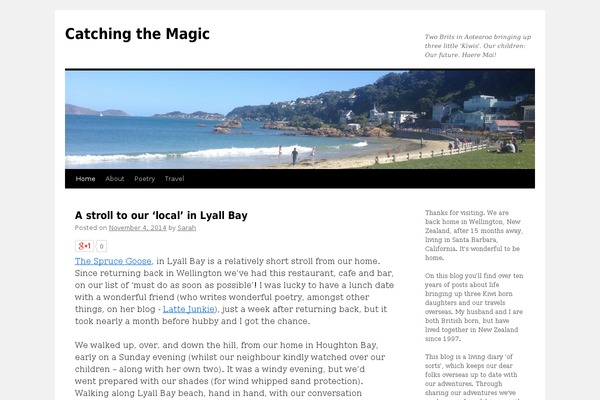 Site using Social Media Tabs plugin