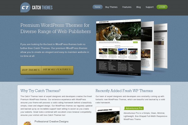 WordPress website example screenshot