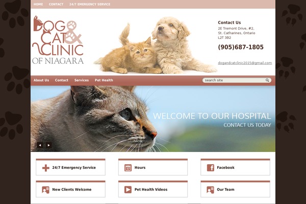 Lifelearnsalient theme site design template sample