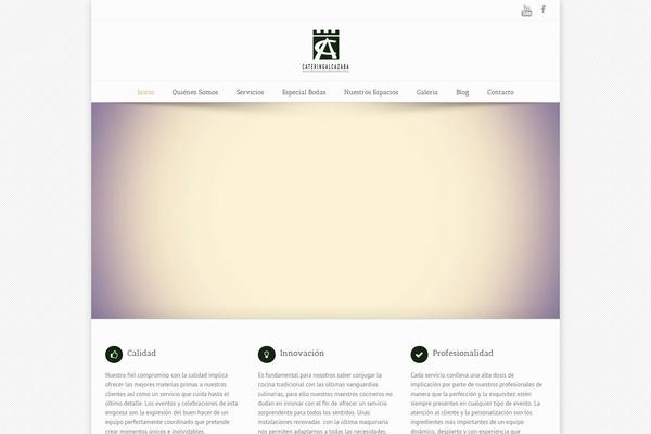Site using Elfsight-instashow plugin