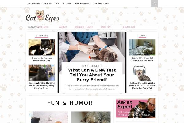Braxton-child theme site design template sample
