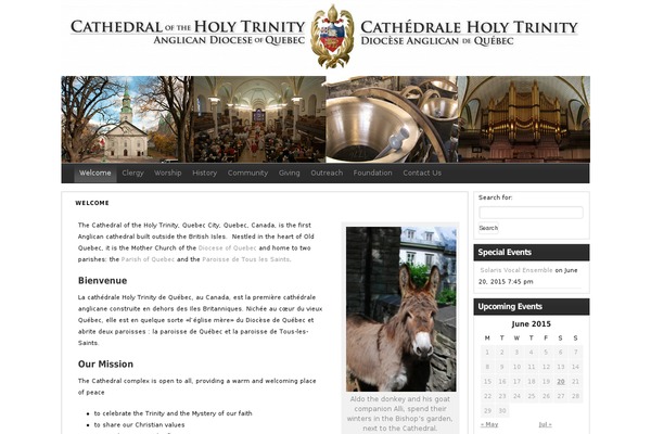 One theme site design template sample