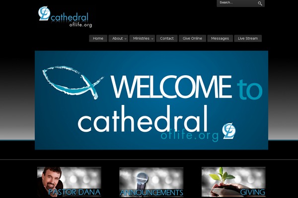 Site using Vimeo Everywhere plugin