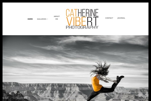 Site using Divi-gallery-extended plugin