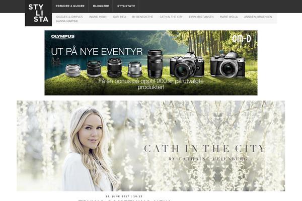 Minimalist theme site design template sample