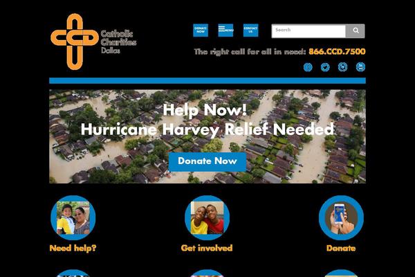 template4_child theme websites examples