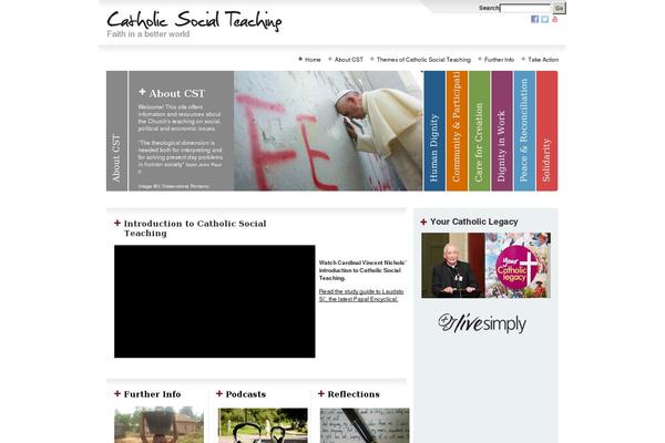 slt-custom theme websites examples