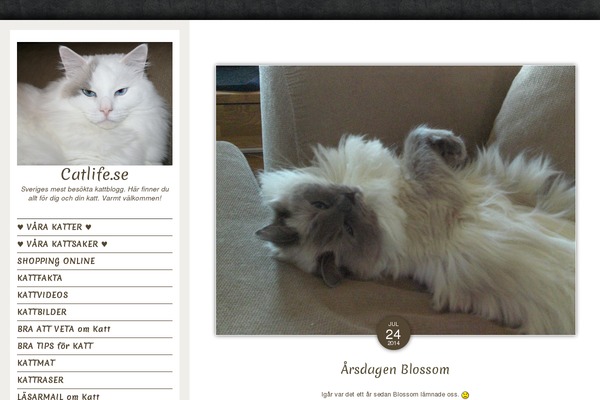 Luminescence Lite theme site design template sample