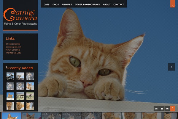 Site using Everest-gallery-lite plugin