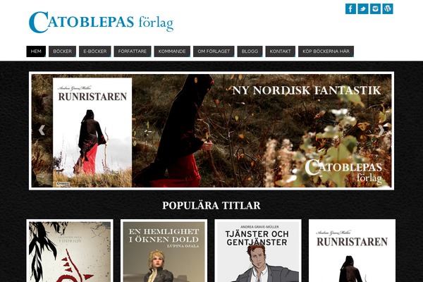 Site using Weaver Show Posts plugin
