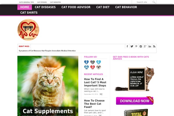 Max Mag theme site design template sample