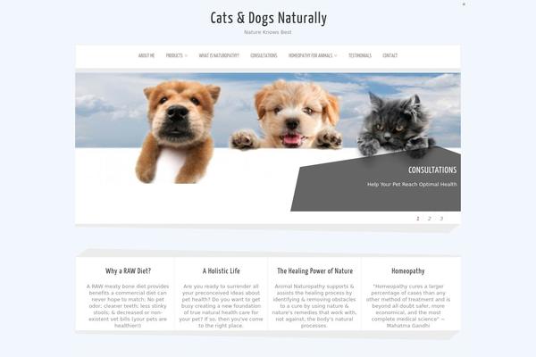 Zenon Lite theme site design template sample