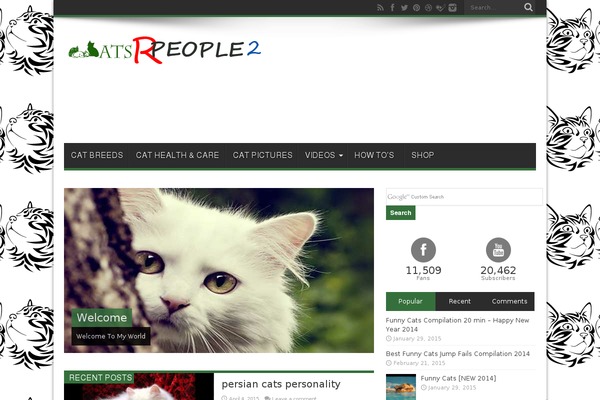 Site using Bestsellerazon plugin