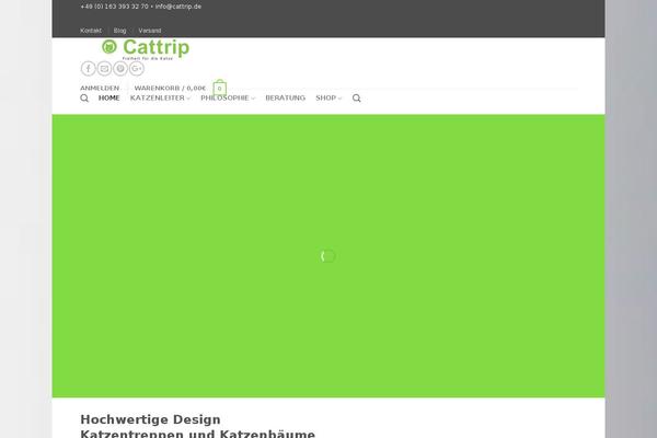 Site using Tp-add-on-automatic-language-detection plugin