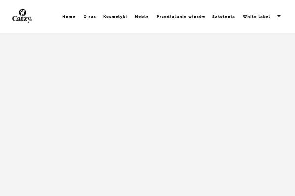 Skylar theme site design template sample