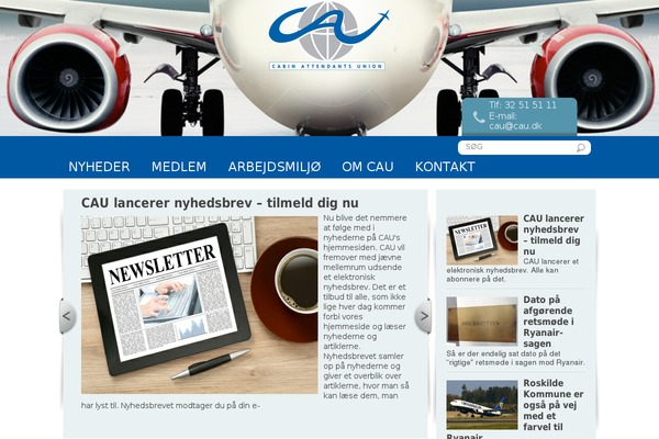 cau theme websites examples