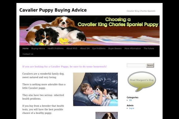 Site using Widgets on Pages plugin