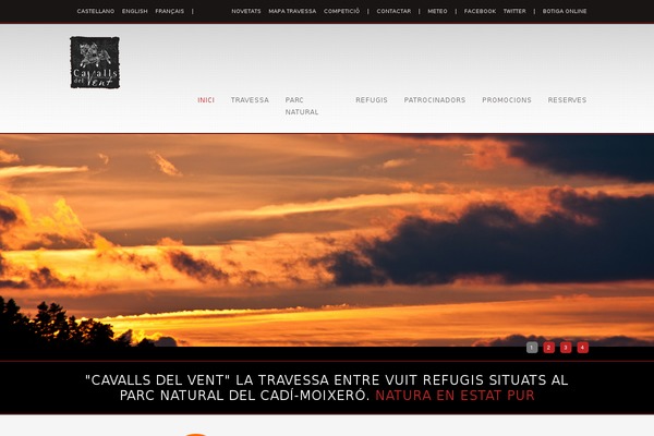 Site using DuracellTomi's Google Tag Manager for WordPress plugin