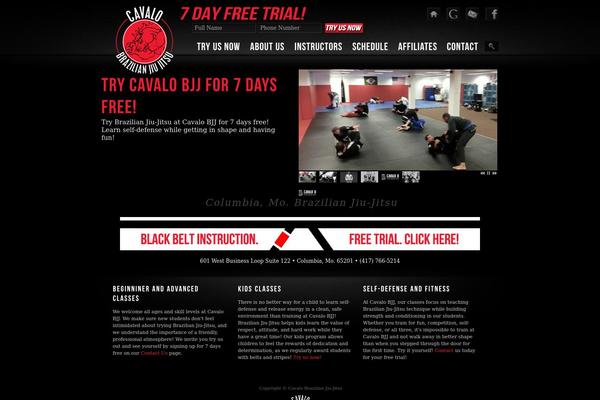 Spintech theme site design template sample