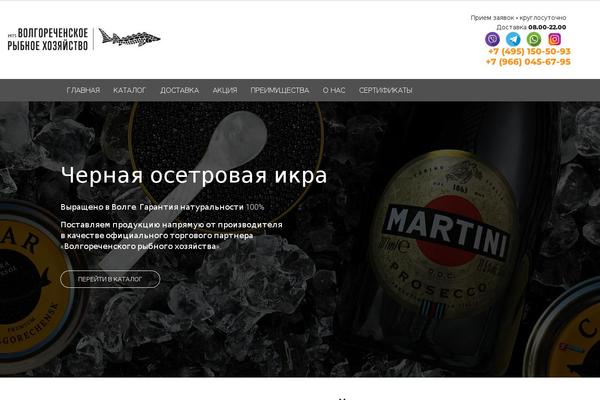 Porto theme site design template sample