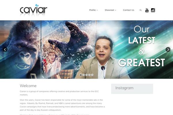 Seller theme site design template sample