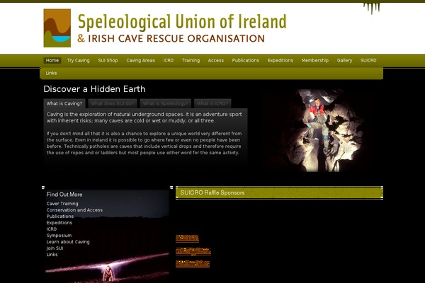 Site using Wp-show-posts plugin