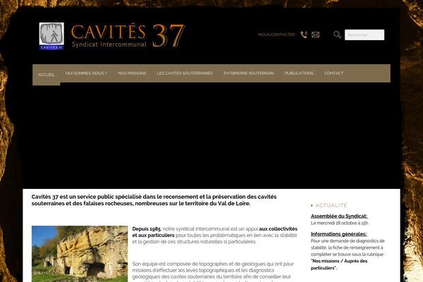 Brandon theme site design template sample