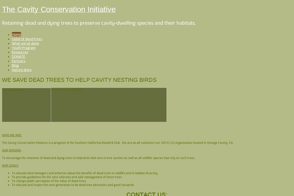 Wp-enlightened104 theme site design template sample