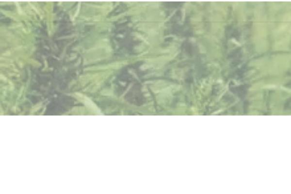 Site using Jet-theme-core plugin
