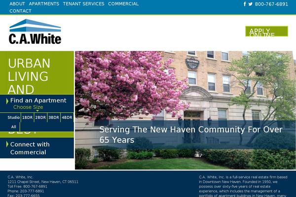 Site using Responsive Slider plugin