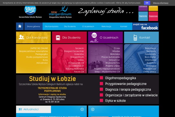 Site using Pojo Accessibility plugin