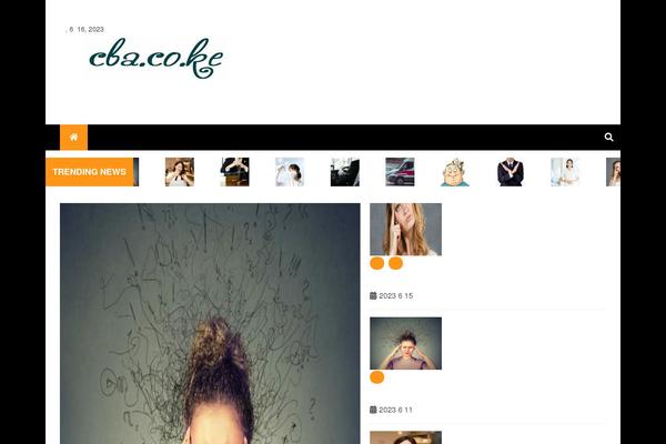 Falcha-news theme site design template sample