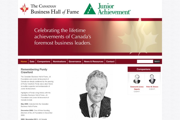 cbhf theme websites examples