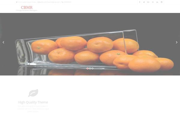 cbmr.org site used Qodesocial