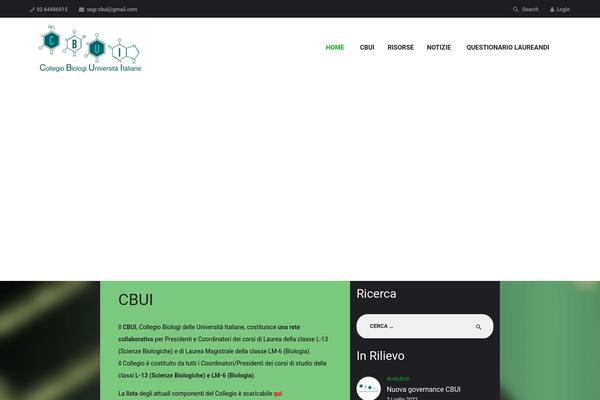 Academee theme site design template sample