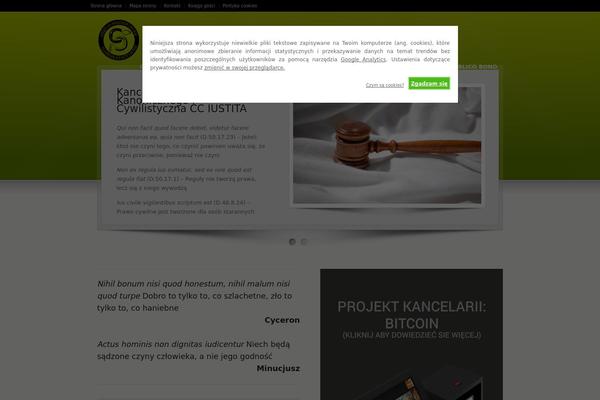 Site using Easy Custom Auto Excerpt plugin