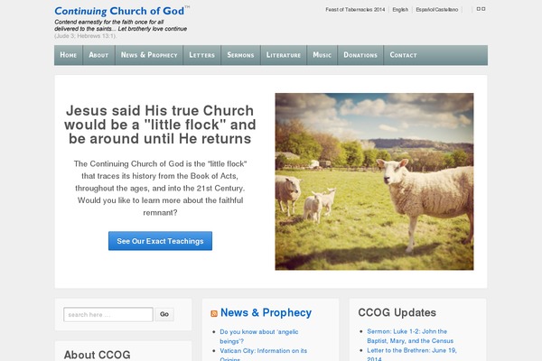 Responsive-child-theme theme site design template sample
