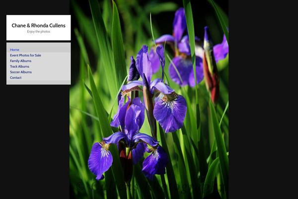Site using Lightgallerywp plugin