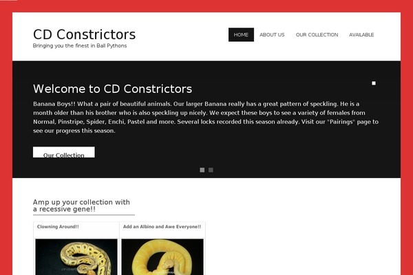 zeeNoble theme site design template sample
