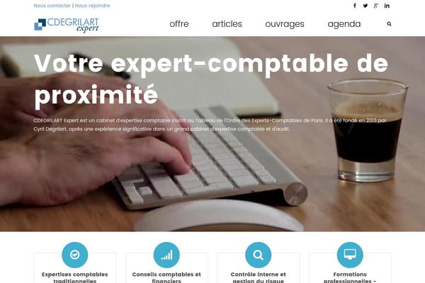 Accesspress-ray-pro theme site design template sample