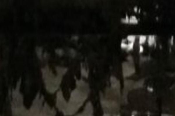 cdharrison.com site used Cdharrison-2023