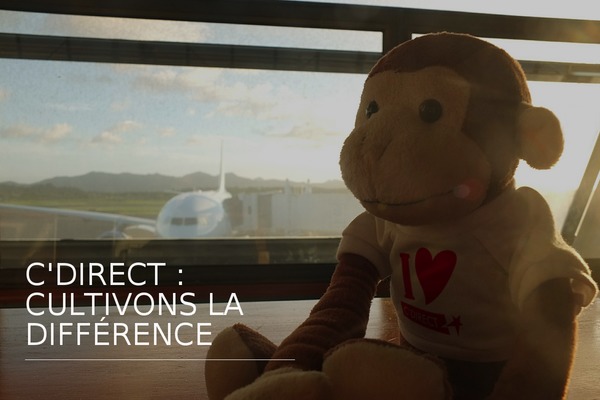 cdirect.fr site used Eleven-wp-1.25