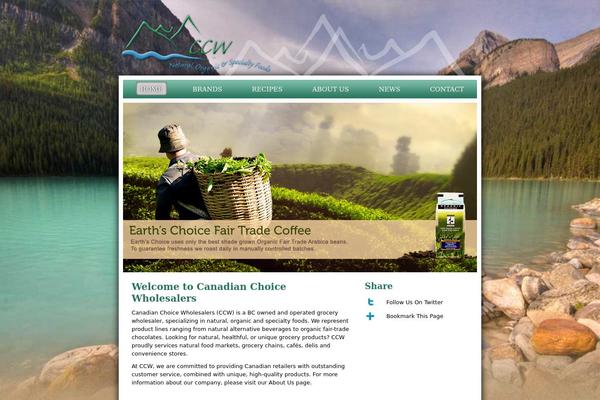 cdnchoice.com site used Cdn